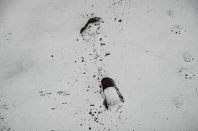 Comment repeindre une pièce sans traces ni coulures : guide débutant