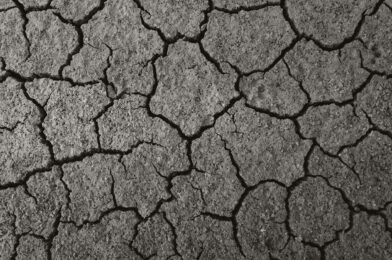Réparer des fissures dans les murs : causes et solutions